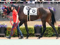 ����å��ǳ��������ɽ�����ޤ�