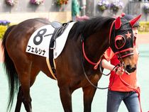 ����å��ǳ��������ɽ�����ޤ�