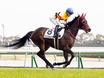 ����å��ǳ��������ɽ�����ޤ�