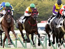 ����å��ǳ��������ɽ�����ޤ�