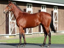 ����å��ǳ��������ɽ�����ޤ�