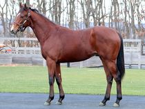 ����å��ǳ��������ɽ�����ޤ�