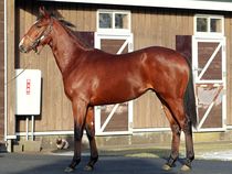 ����å��ǳ��������ɽ�����ޤ�