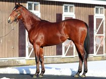 ����å��ǳ��������ɽ�����ޤ�