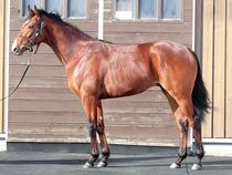 ����å��ǳ��������ɽ�����ޤ�