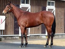 ����å��ǳ��������ɽ�����ޤ�