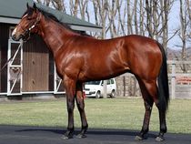 ����å��ǳ��������ɽ�����ޤ�