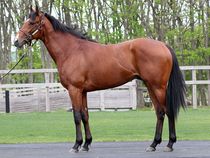 ����å��ǳ��������ɽ�����ޤ�