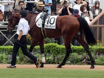 ����å��ǳ��������ɽ�����ޤ�