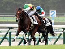 ����å��ǳ��������ɽ�����ޤ�