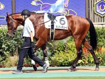 ����å��ǳ��������ɽ�����ޤ�