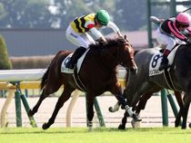 ����å��ǳ��������ɽ�����ޤ�