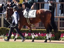 ����å��ǳ��������ɽ�����ޤ�