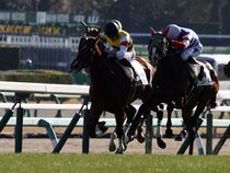 ����å��ǳ��������ɽ�����ޤ�