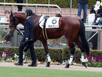 ����å��ǳ��������ɽ�����ޤ�