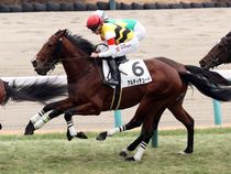 ����å��ǳ��������ɽ�����ޤ�