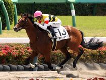 ����å��ǳ��������ɽ�����ޤ�