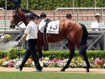 ����å��ǳ��������ɽ�����ޤ�