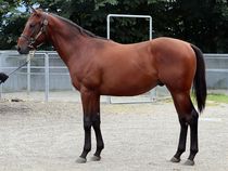 ����å��ǳ��������ɽ�����ޤ�