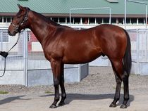 ����å��ǳ��������ɽ�����ޤ�