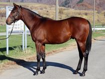 ����å��ǳ��������ɽ�����ޤ�