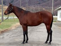 ����å��ǳ��������ɽ�����ޤ�