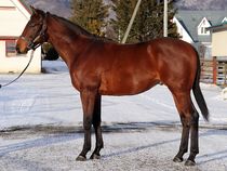 ����å��ǳ��������ɽ�����ޤ�