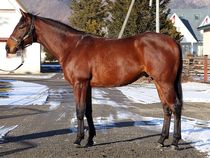 ����å��ǳ��������ɽ�����ޤ�