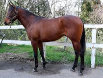 ����å��ǳ��������ɽ�����ޤ�