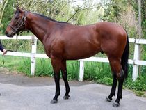 ����å��ǳ��������ɽ�����ޤ�