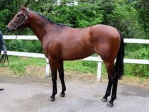 ����å��ǳ��������ɽ�����ޤ�