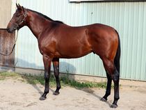 ����å��ǳ��������ɽ�����ޤ�