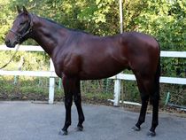 ����å��ǳ��������ɽ�����ޤ�