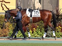 ����å��ǳ��������ɽ�����ޤ�