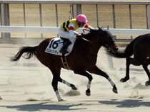 ����å��ǳ��������ɽ�����ޤ�