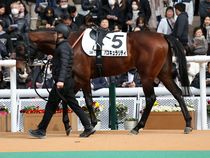 ����å��ǳ��������ɽ�����ޤ�