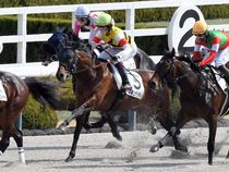 ����å��ǳ��������ɽ�����ޤ�