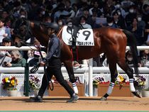 ����å��ǳ��������ɽ�����ޤ�