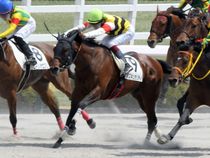 ����å��ǳ��������ɽ�����ޤ�