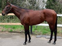 ����å��ǳ��������ɽ�����ޤ�