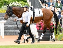 ����å��ǳ��������ɽ�����ޤ�