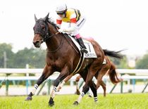 ����å��ǳ��������ɽ�����ޤ�