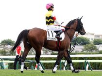 ����å��ǳ��������ɽ�����ޤ�