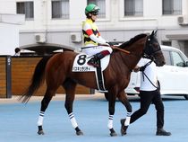 ����å��ǳ��������ɽ�����ޤ�