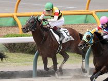 ����å��ǳ��������ɽ�����ޤ�