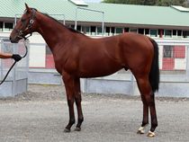 ����å��ǳ��������ɽ�����ޤ�