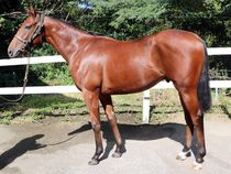 ����å��ǳ��������ɽ�����ޤ�