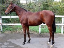 ����å��ǳ��������ɽ�����ޤ�