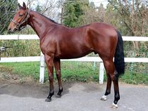 ����å��ǳ��������ɽ�����ޤ�