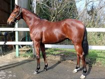 ����å��ǳ��������ɽ�����ޤ�